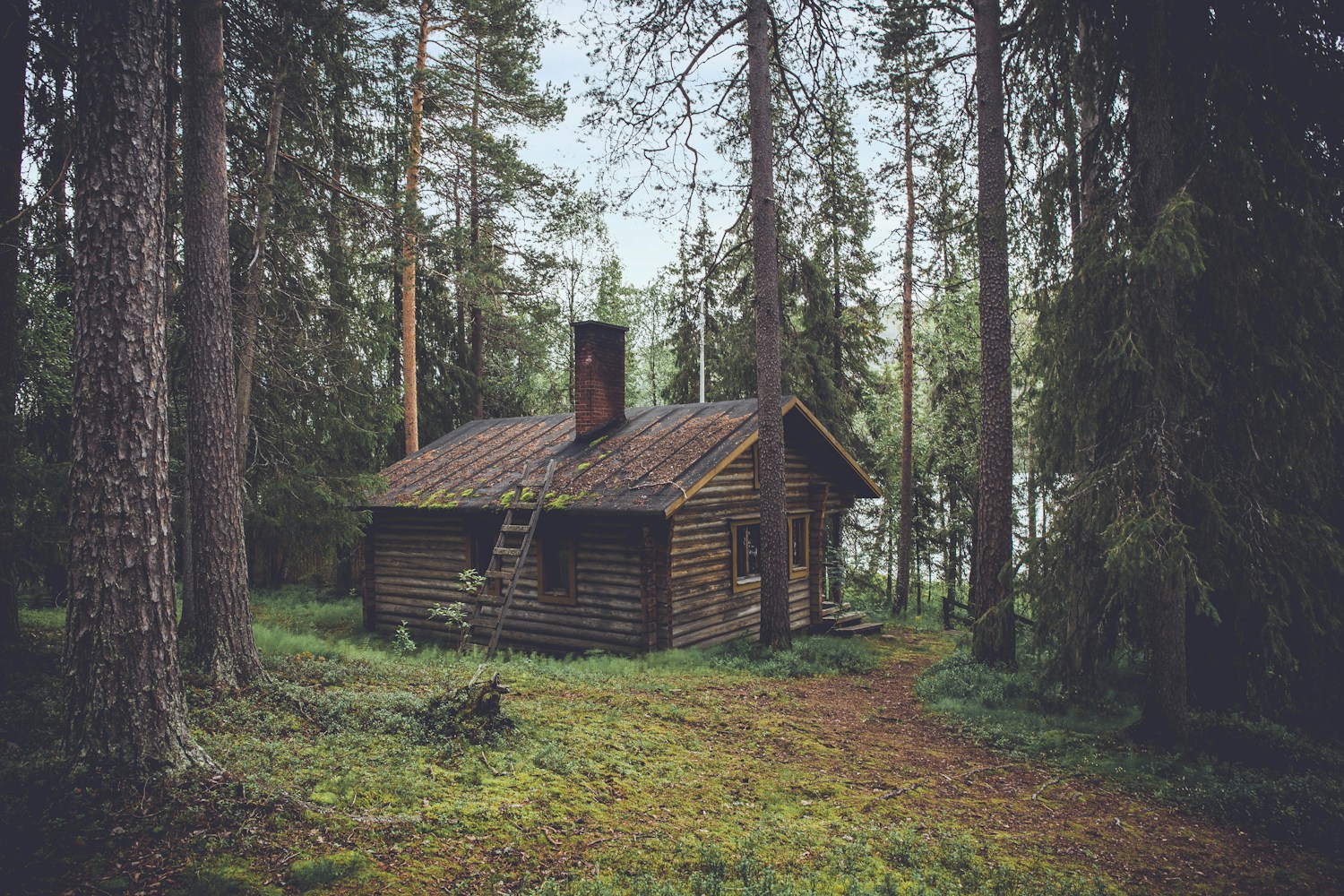 A small house among trees